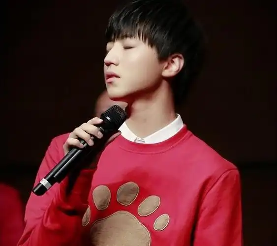 王俊凯:从少年偶像到全能艺人,他究竟是如何完成华丽