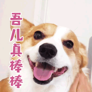 念网课之悠悠独怆然而涕下