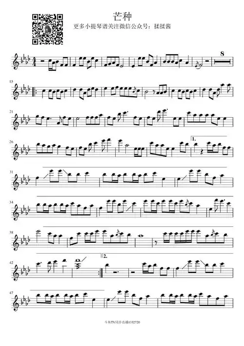 芒种 小提琴谱 小提琴曲谱