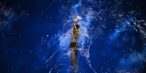 2017年索尼世界摄影奖入围佳作