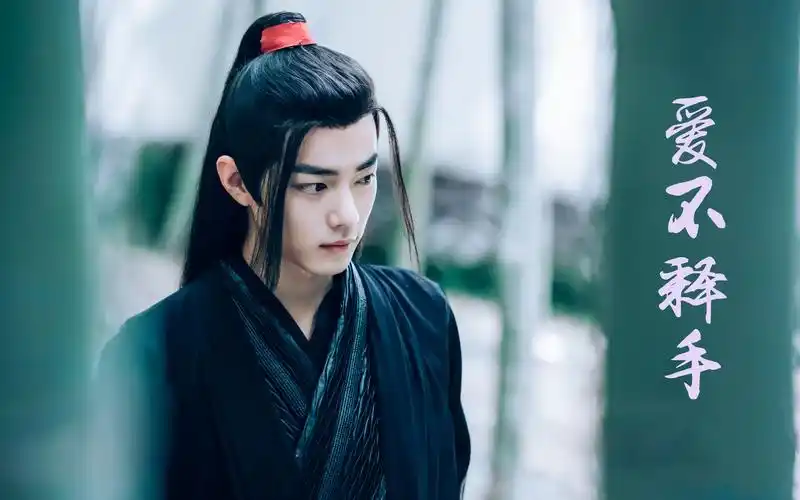 爱不释手|肖战魏无羡