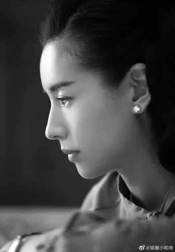 董洁的鼻子算不算的整容模版