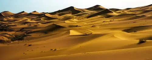 来自《腾格里沙漠》的图片