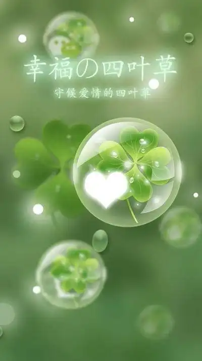 幸运草 四叶草