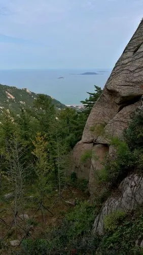 其它 【崂山华严景区】 写美篇华严寺简介 华严寺原名"华严庵","华严