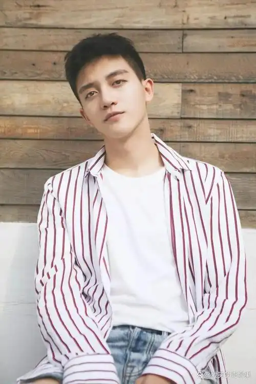 湖北12市盘点各市最出名的影视男明星