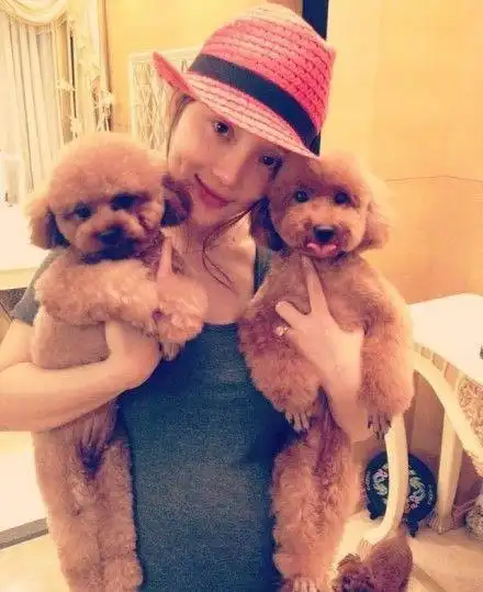 李小璐喜得千金 贾乃亮晒全家福