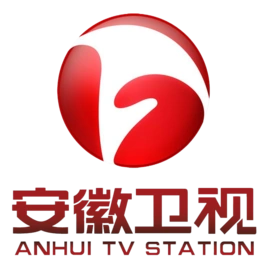 安徽卫视2000年
