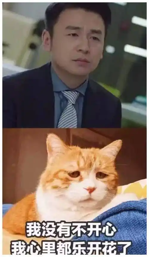 "雷佳音100亿击败窝囊废,飒爽英姿引关注"_电影史_张艺谋_角色