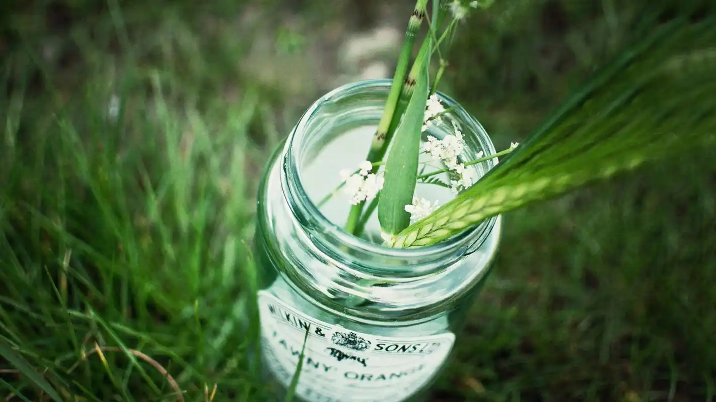 绿色小清新静物高清图片桌面壁纸下载