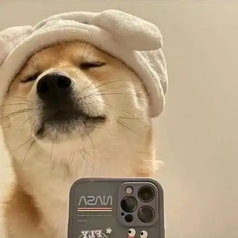 狗头头像图片 狗头头像图片表情包_布阁拉