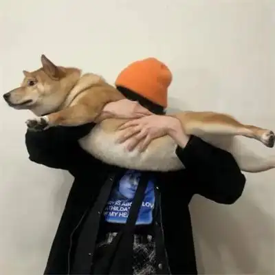 搞怪又不失帅气的个性男生头像图片