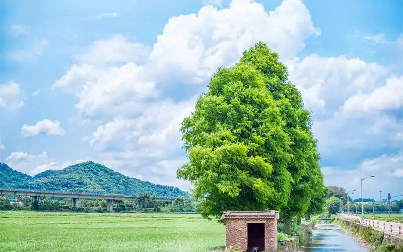 小清新淡雅景物壁纸_清清爽爽的护眼风景