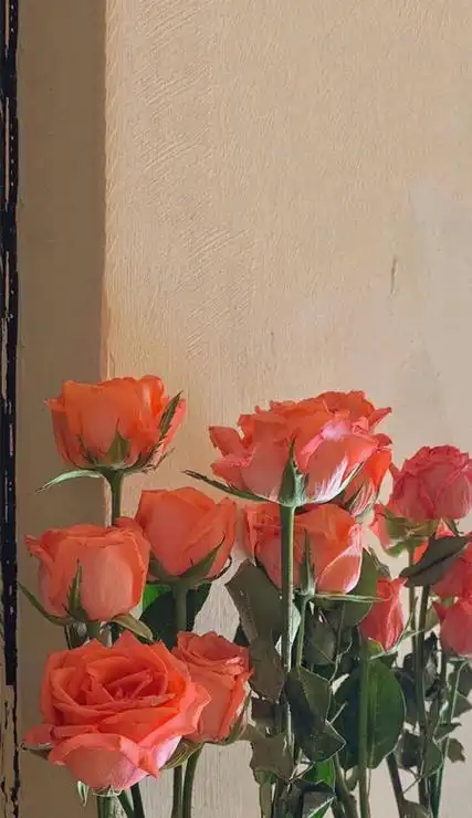 唯美手机壁高清淡雅简约 要让你们一直有喜欢的壁纸换下载_七七下载网