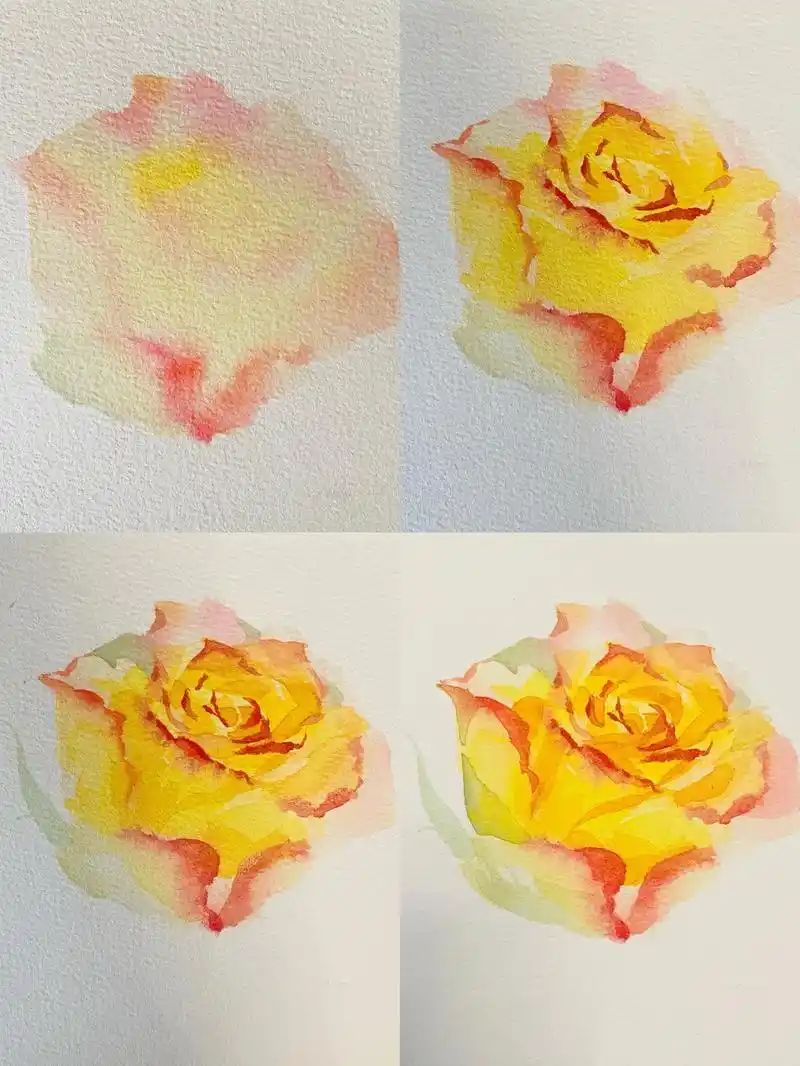 水彩花卉绘画过程.颜料:美睫乐纸张:宝虹中粗画笔:引水轩 - 抖音