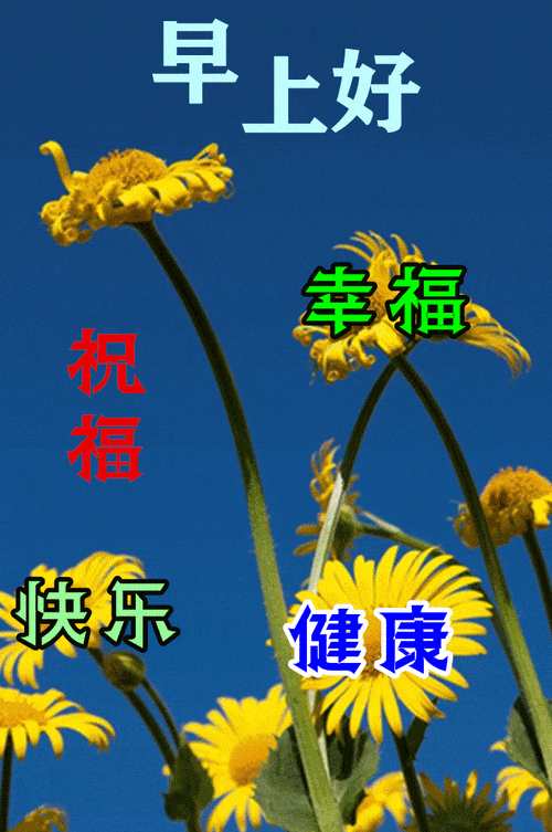 最漂亮早上好动态表情图片大全,早晨好动图美图大全_生活_人生_祝福