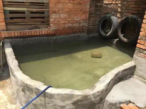 正在改造的鱼池