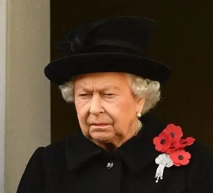 英国国殇日100周年纪念仪式在伦敦举行,英国皇室英女王伊丽莎白二世