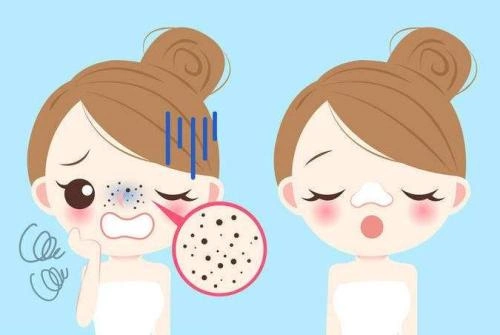 毛孔粗大_毛孔粗大最新内容_毛孔粗大相关汇总_看淘网