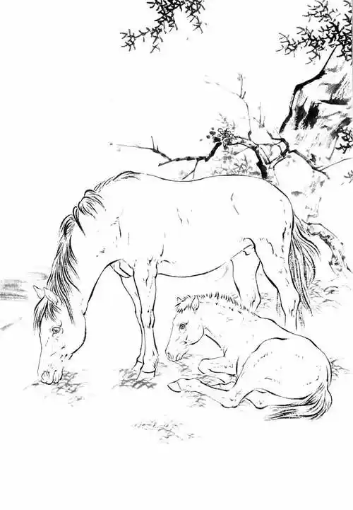 国画《骏马图》高清白描底稿15幅,一马当先,马到成功