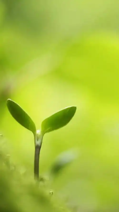 640_1138竖版 竖屏