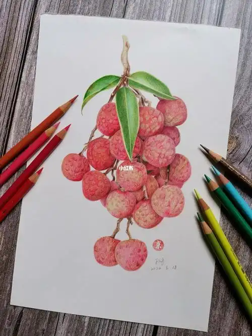 临摹彩铅荔枝