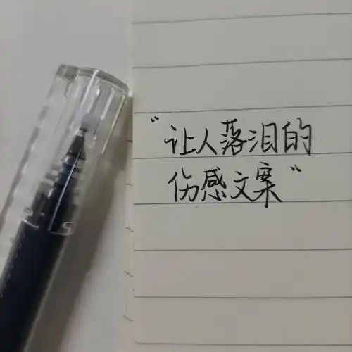 36/10095"让人落泪的伤感文案"97