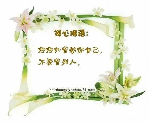 禅心佛语 (精美图文)