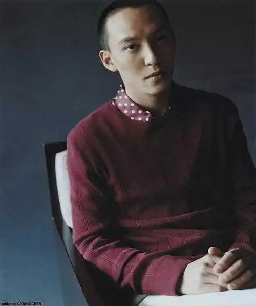 就想给神尊盖个楼——年轻时的张震