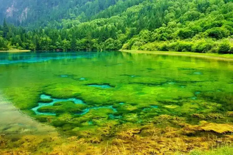 中国5a景区10强,泰山垫底,张家界排第5,你去过几个?