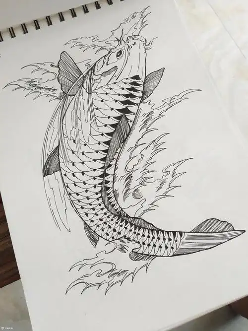 鲤鱼系列纹身手稿
