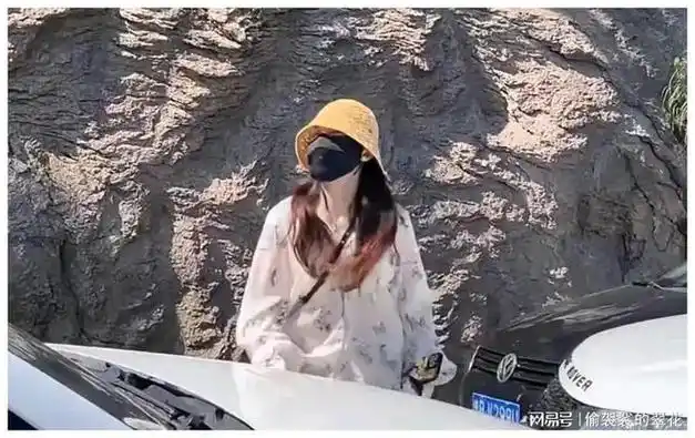 这一次,逆行追尾还打人的路虎女车主"底裤"都快要被扒光了!