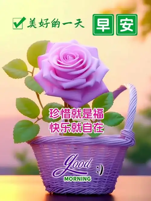 冬日清晨早安问候祝福语简短语句|快乐|晨曦|二战|赵冬日|军事同盟