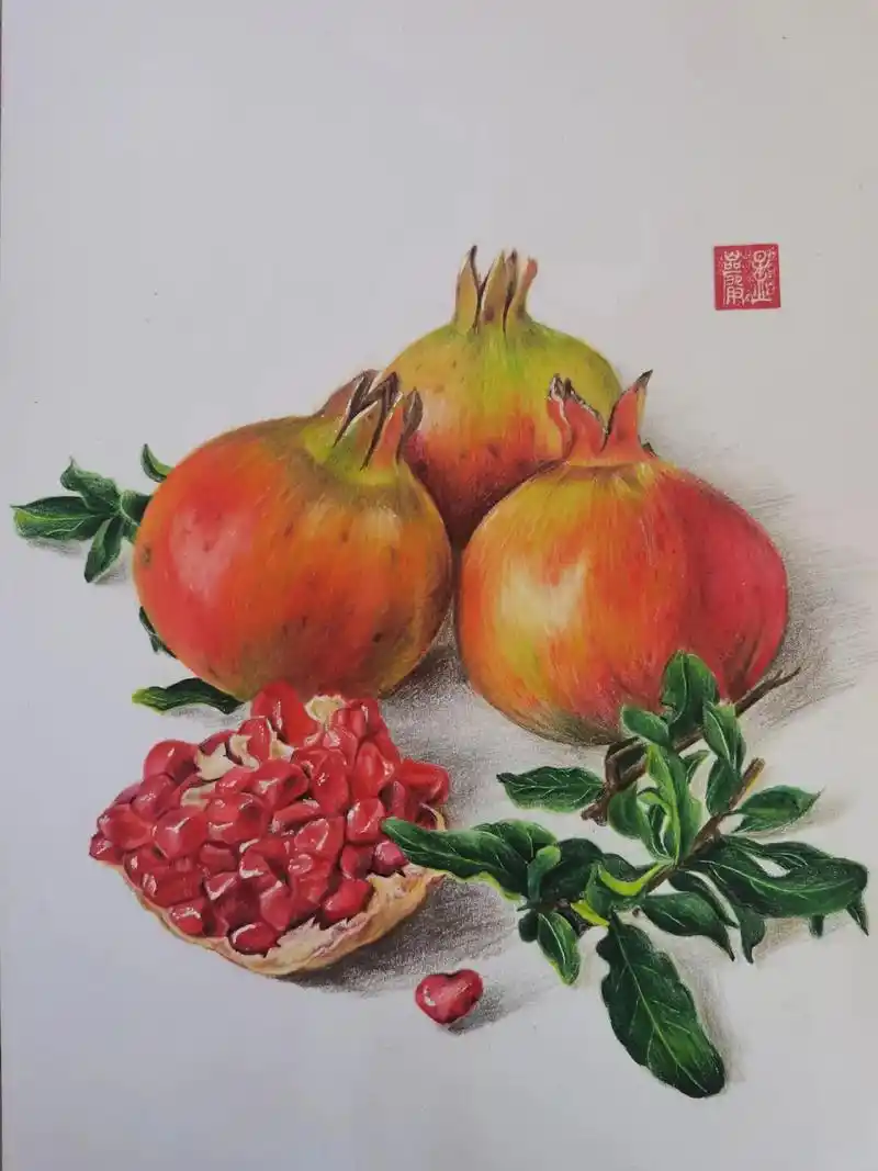 彩铅画石榴长在树上的雅诗兰黛快来吃呀