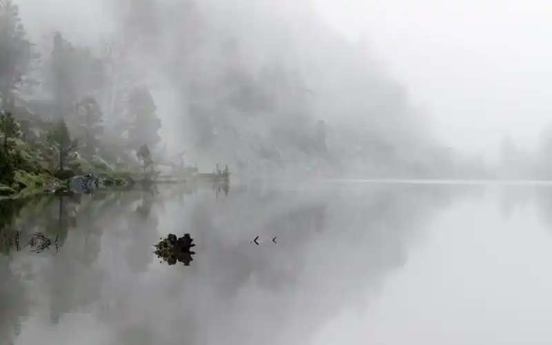 让人看了静心的图片,高清图片,电脑桌面-壁纸族