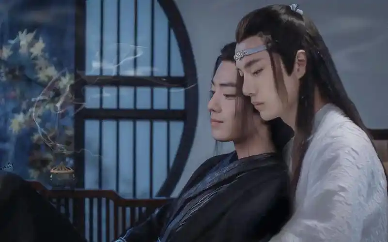 【魔道祖师陈情令】【蓝忘机/魏无羡】【王一博/肖战】筷子兄弟