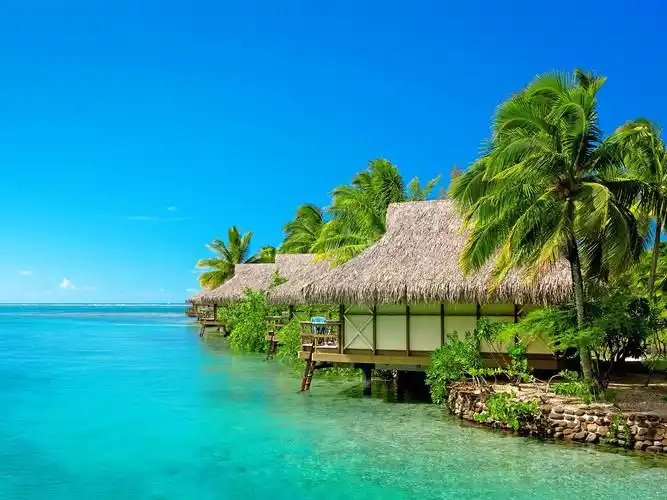 大海,蓝天,度假村,别墅,棕榈树,沙滩 壁纸 - 1920x1440