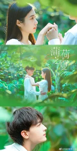 有人看薄荷之夏吗