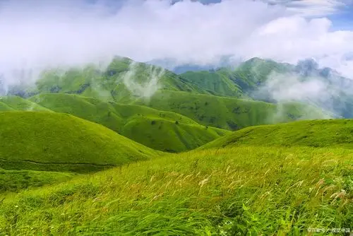 金秋武功山醉美的季节,来赴一场来自十万亩高山大草甸的邀约吧!