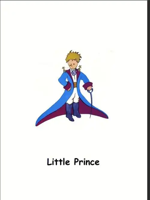 day1英语阅读打卡littleprince小王子