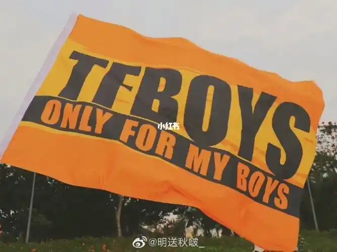 tfboys大旗
