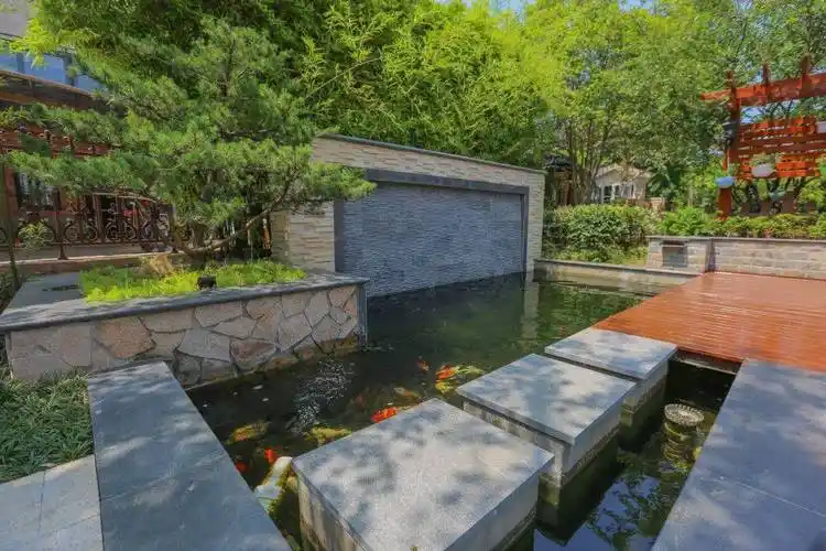 庭院设计|庭院鱼池设计成功的七大要素,缺一不可,庭院设计|庭院鱼池