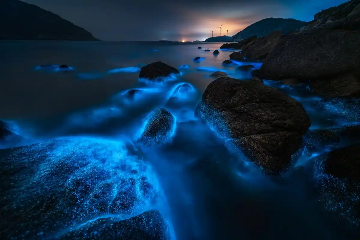 亲爱的观众们,今天我们要来探讨一个充满神秘与浪漫的话题——荧光