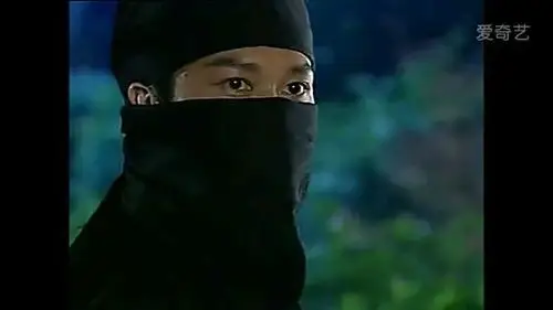 【图片】『古色古香』盘点‖那些古装剧中的蒙面男子【古装电视剧吧】