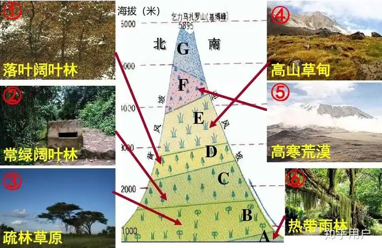 文综地理由海拔高度,气候怎么判断植被(如高山草甸)? - 知乎