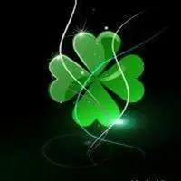 四叶草头像图片大全幸运四叶草头像图片点击鼠标右键下载