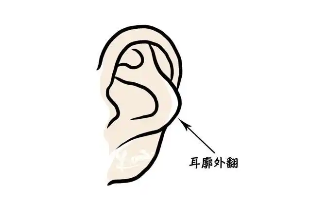 这届爱豆不好带,rap看脸不看颜