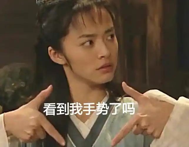 看到我手势了吗武林外传姚晨瞪眼歪头gif动图_动态图_表情包下载_soo