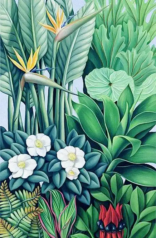 非常养眼的绿色植物插画素材欣赏 a