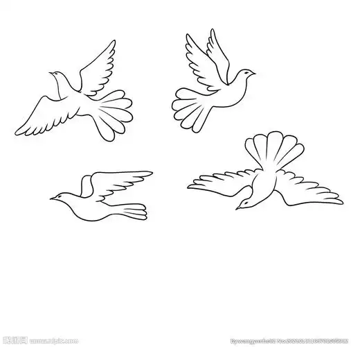 0)颜色:gray40共享分×关 键 词:线描白鸽 矢量图白鸽 鸽子插画 鸽子